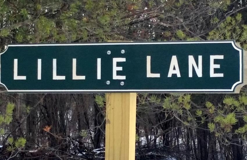 Lillie Lane